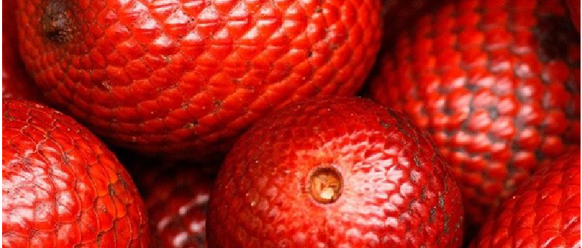 minibanner_Prancheta 4-06